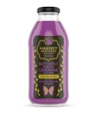X| Harney Brother | Butterfly Disco | Lemonade | 16oz | 10mg