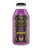 Butterfly Disco Lemonade - 10mg Beverage 16oz