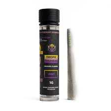 Dank By Definition - X| Tropic Thunder | Preroll | 1g Main Image