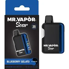 MR. VAPOR - Blueberry Gelato 3g Disposable Main Image