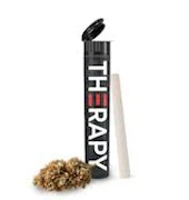 Double Grape 2pk Preroll | Therapy
