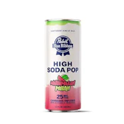 Pabst - Drink - Watermelon Melon High Soda 4Pk 25mg