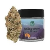 Dante's Rainbow - 3.5g Flower