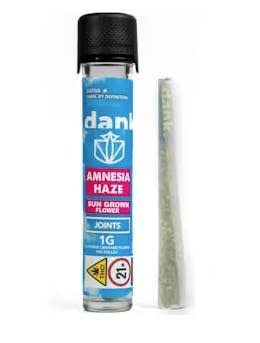 Dank By Definition - X| Dank | Amnesia Haze | Preroll | Sungrown | 1g Main Image