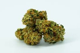 Hecate Gardens Lemon Lime Sherbert 