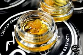 BONSAI - Denver Dab | Tropical Gas 1G Main Image