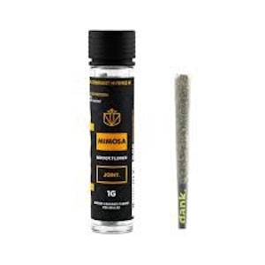 DANK BY DEFINITION - DANK | Mimosa | 1G Preroll