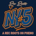 REC ROOTS | NY #5 | 3.5g Flower