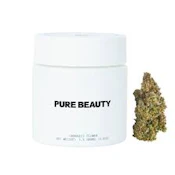 [Pure Beauty] CBD Flower - 3.5g - Terry T (20:1)