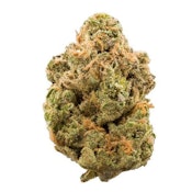 Herbarium | Pina Colada | 3.5g