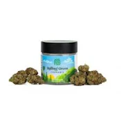 Rolling Green - Pinnacle - Flower - 3.5g