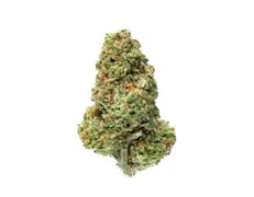Campfire Cannabis Cap Junky 3.5g