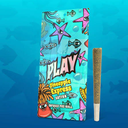 Play Michigan - Pineapple Express (1.2g Infused Pre-Roll) Main Image
