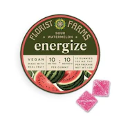 X| Florist Farms | Sour Watermelon | Gummy | 10ct | 10mg