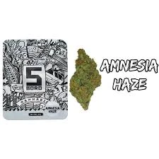 5 BORO - 5 Boro Amnesia Haze 3.5g Flower Pouch Main Image