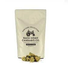 Back Home Cannabis Co. - Back Home Cannabis Super Lemon Haze 14g Flower Main Image