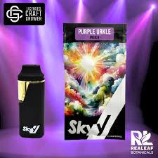 SKYY - Skyy | 3g Disposable | Purple Urkle | 3g Main Image