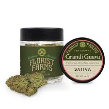 Florist Farms - Florist Farms Grandi Guava 7g Flower Main Image