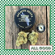 Blackbird Gardens Galactic Guava 3.5g Jar Flower