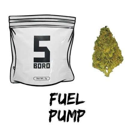 Nanticoke - 5 Boro Fuel Pump .7g Dime Bag Main Image
