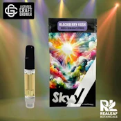 Skyy | 2g Cartridge | Blackberry Kush | 2g