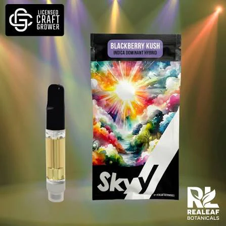 SKYY - Skyy | 2g Cartridge | Blackberry Kush | 2g Main Image