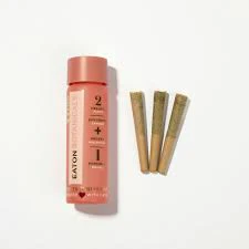 Eaton Botanicals - Eaton Botanicals Chairlifts 3pk Prerolls Galactic Guava Main Image