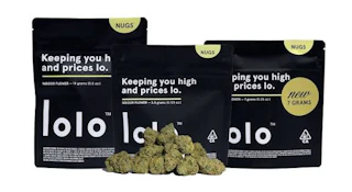 Lolo - Flower - Indoor - OG Kush x Face Off OG Black Bag - 3.5g