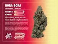 Seed Junky - 7g Bigs - Bora Bora - Hybrid