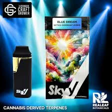 SKYY - Skyy | Disposable Pen | Yabba Dabba Doo | 1g Main Image