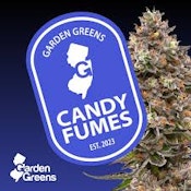 Flower | Buds | Garden Greens | Candy Fumez | 3.5g