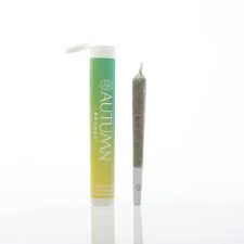 Autumn Brands - Autumn Brands Preroll 1g Sweet Lemon Gelato Main Image