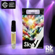 SKYY - Skyy | 2g Cartridge | Grape Ice | 2g Main Image