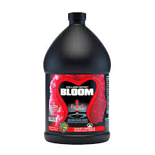 Holland Secret Bloom 0-6-4 1gal
