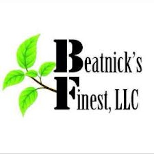 BEATNICK'S FINEST - Beatnick's Finest HEMP CBD 60:1 FECO