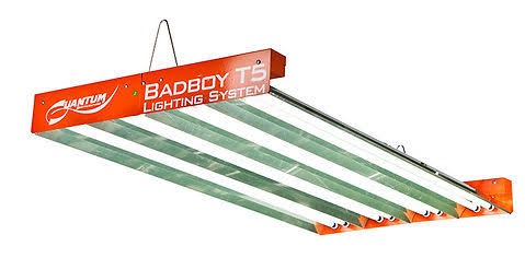 BadBoy T5 6 Lamp 365w