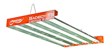 BadBoy T5 6 Lamp 365w