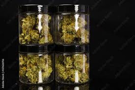 Platinum Lemon Cherry Gelato l Premium Packaged Flower-1oz