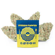Stereo 7g Orange Runtz