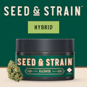 Seed & Strain | Flower | Guava Bomb| 3.5g