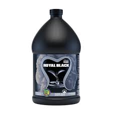 Holland Secret Royal Black