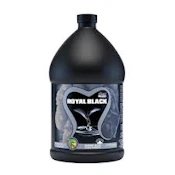 Holland Secret Royal Black