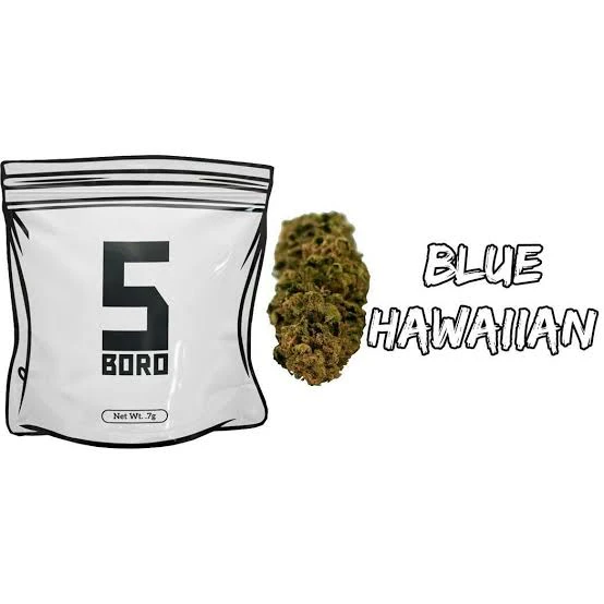 Nanticoke - 5 Boro Blue Hawaiian .7g Dime Bag Main Image