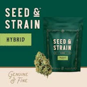 Seed & Strain | Flower | Guava Bomb | 28g