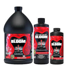 Holland Secret Bloom 0-6-4  1qt