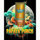 Presidential THC - Presidential - Moon Rock 1G Preroll - Papaya Punch Main Image