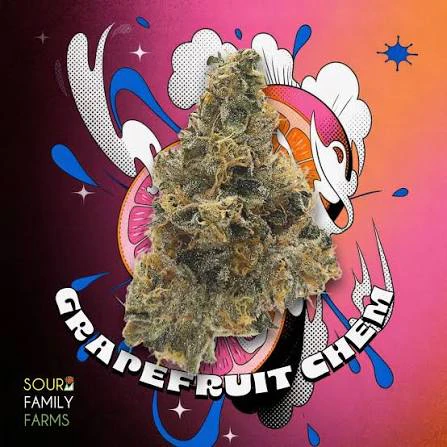 SOUR FAMILY FARMS - Sour Family Farm | Flower | Grapefruit Chem | 3.5g Main Image