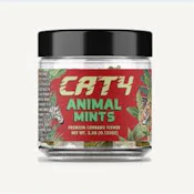CAT4 Animal Mints 3.5g