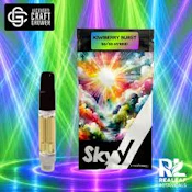 Skyy | Cartridge | Kiwiberry Burst | 1g