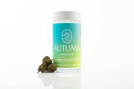 Autumn Brands Smalls 14g Italian Lemonade